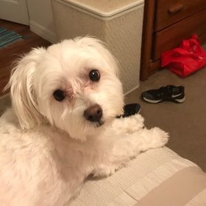 Meet your Posher, Mary